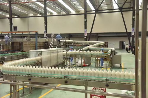 首屆中國綦江食品工業高質量發展大會將于12月4日舉行，聚焦食品銷售新機遇