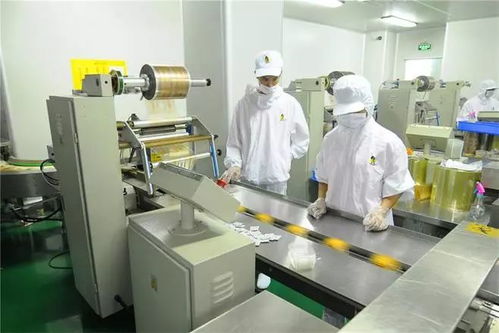 食品加工廠霉菌污染的綜合防控策略與實(shí)踐指南